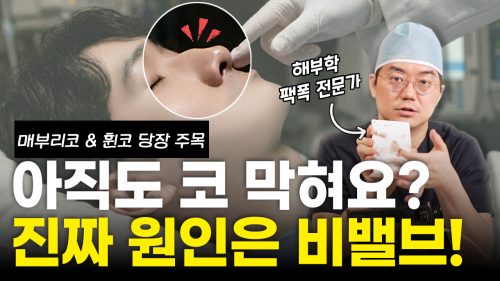 260408-%eb%b9%84%eb%b0%b8%eb%b8%8c%ec%9e%ac%ea%b1%b4%ec%88%a0-%ec%8d%b8%eb%84%a4%ec%9d%bc